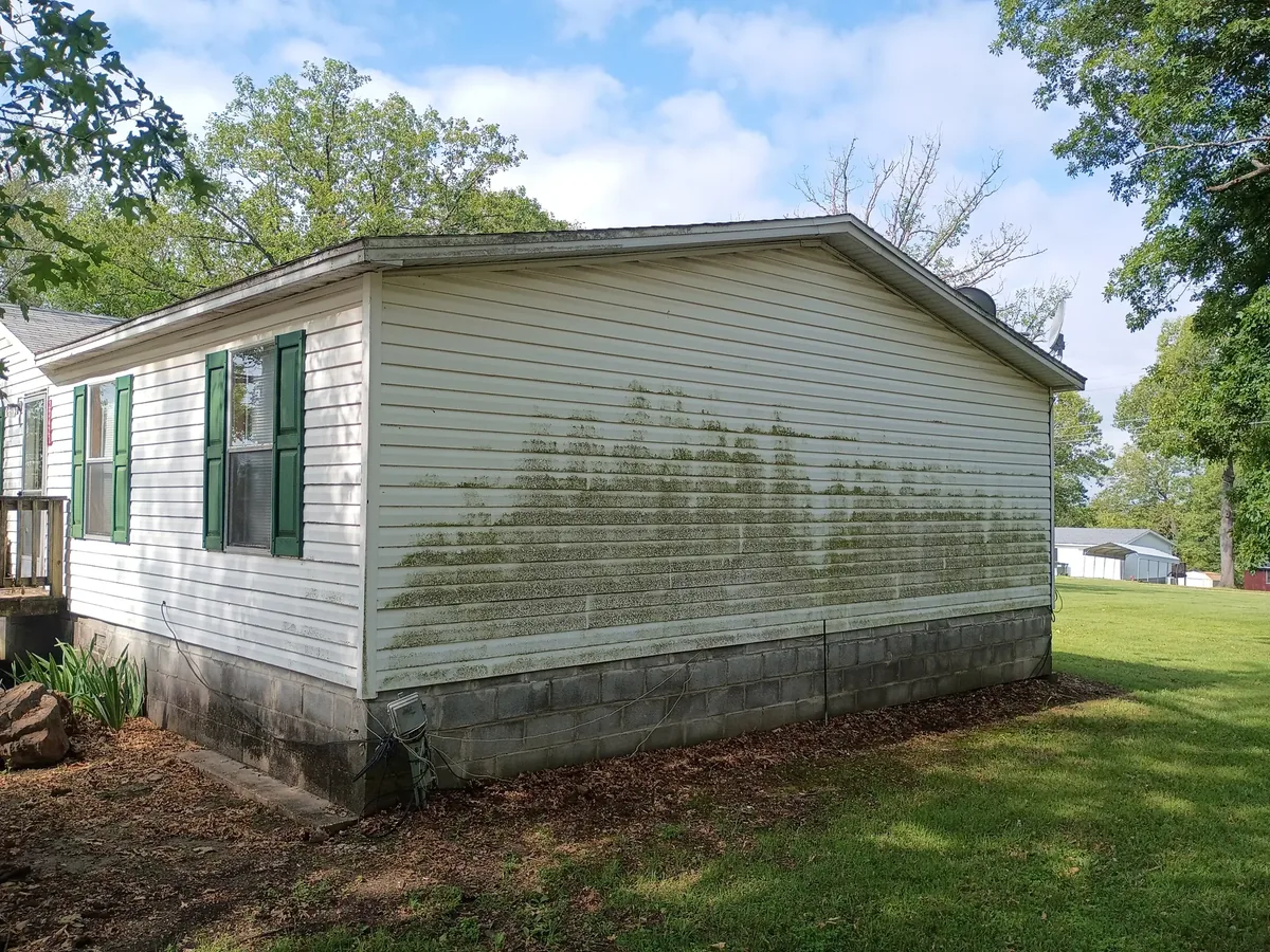 home siding streaked with green algae before washing